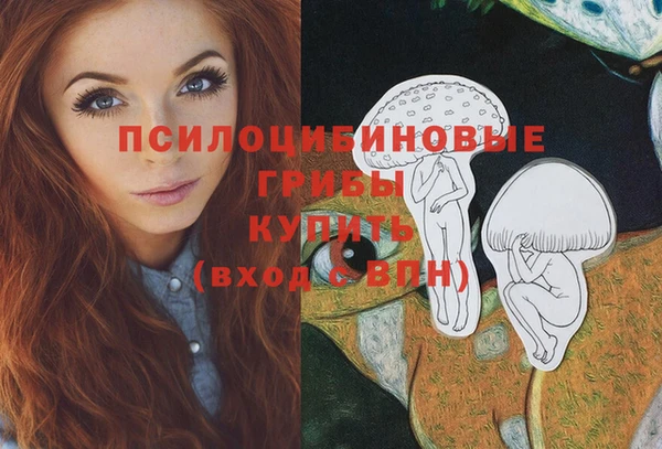молекула духа Аркадак