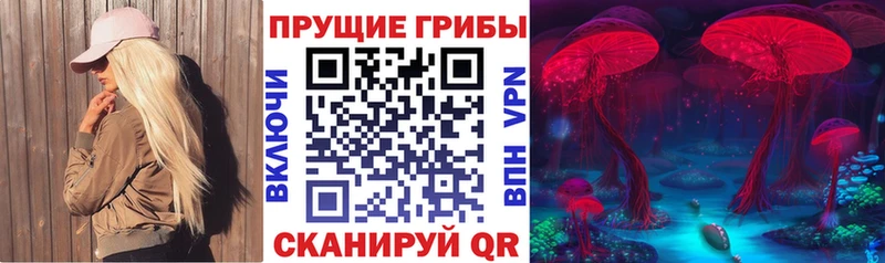 Псилоцибиновые грибы Cubensis  Купить где  Суровикино 