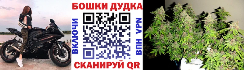Купить  Суровикино  Конопля MAZAR 